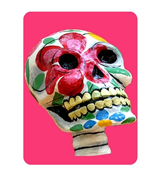 310 Calaca Rosa